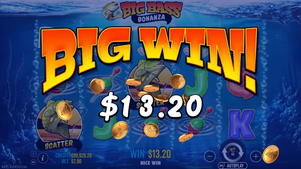 Big Bass Bonanza: big win 15.5x (31.0) on media spin 48