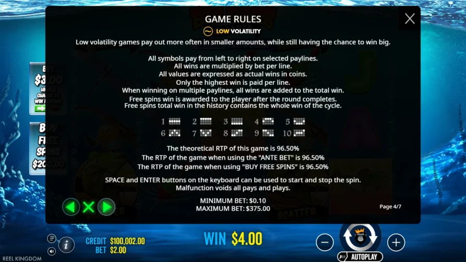 Big Bass Bonanza Reel Action rules, page 4