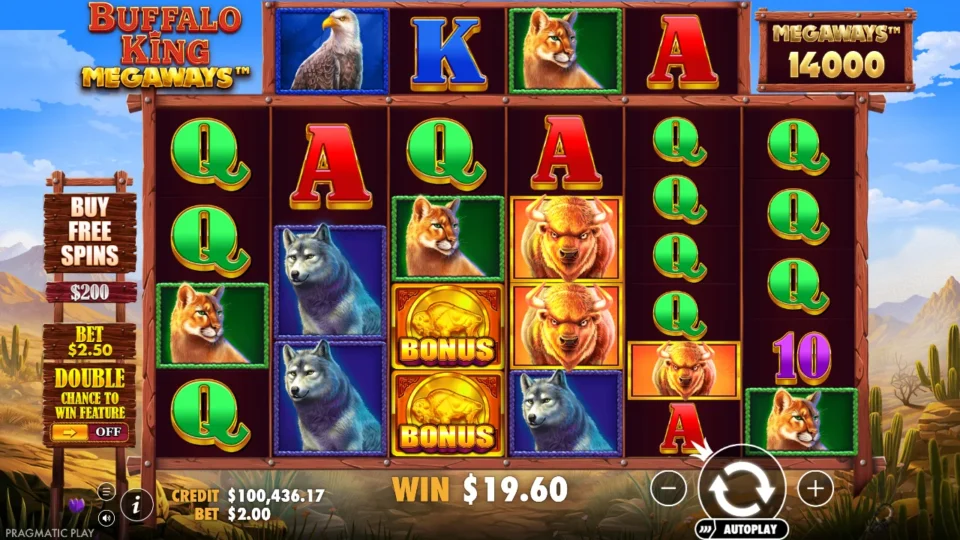 Buffalo King Megaways: win 9.8x (19.6) on media spin 40