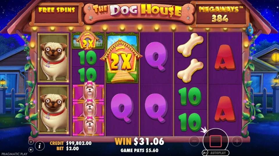 Dog House Megaways: free spins result: 31.6 (bonus buy)