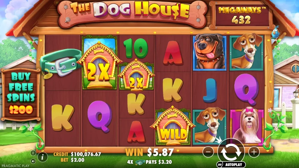 Dog House Megaways: win 4.0x (8.0) on media spin 35