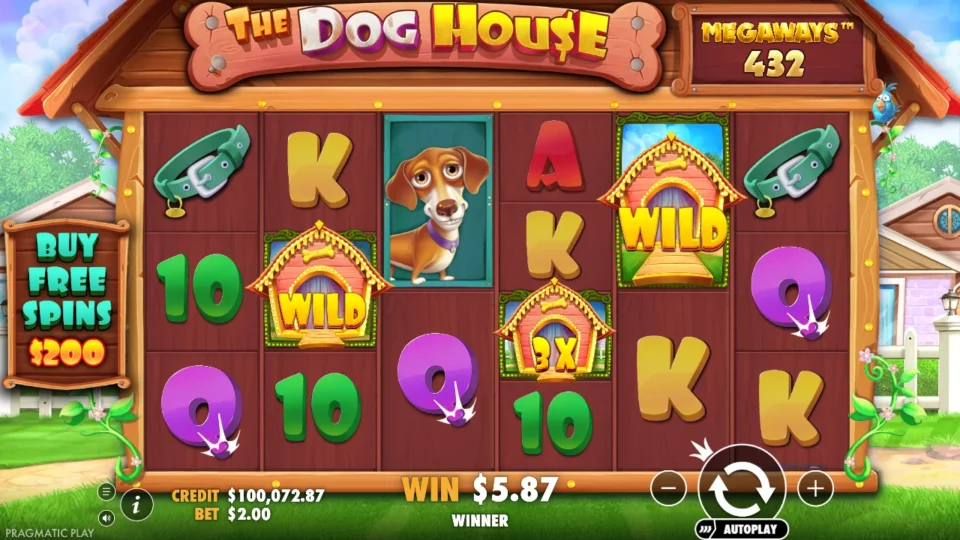 Dog House Megaways: win 3.0x (6.0) on media spin 41