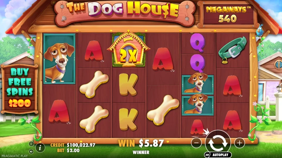 Dog House Megaways: win 4.0x (8.0) on media spin 80
