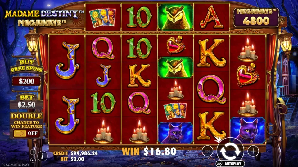 Madame Destiny Megaways: win 8.4x (16.8) on media spin 87