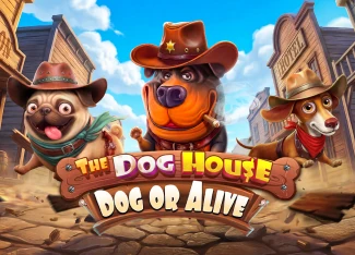 The Dog House Dog Or Alive