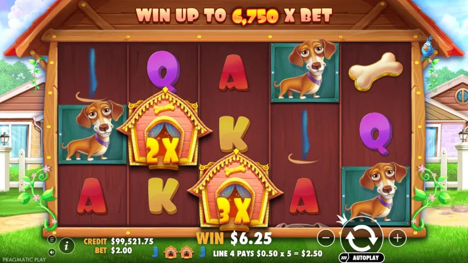 The Dog House: win 8.0x (16.0) on media spin 328
