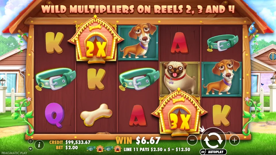 The Dog House: win 6.2x (12.5) on media spin 331