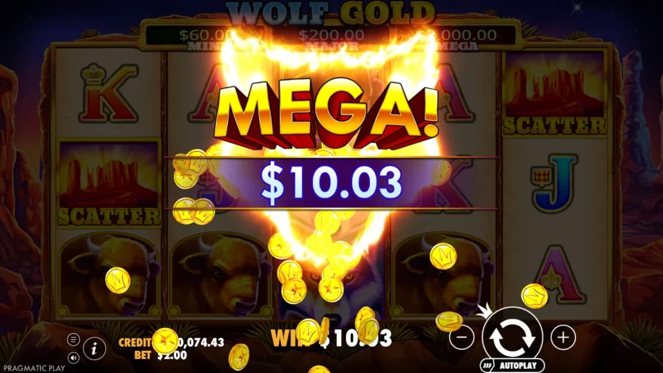 Wolf Gold: big win 21.0x (42.0) on media spin 19