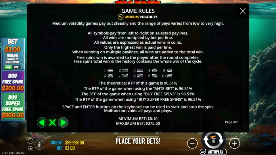 Big Bass Bonanza 1000 rules, page 4