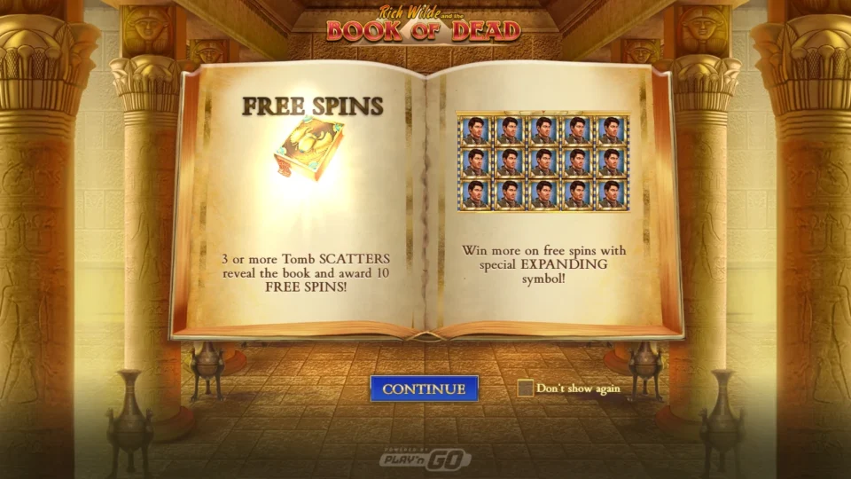 Book of Dead: The feature panel: three or more Tomb scatters award ten free spins played with one expanding symbol