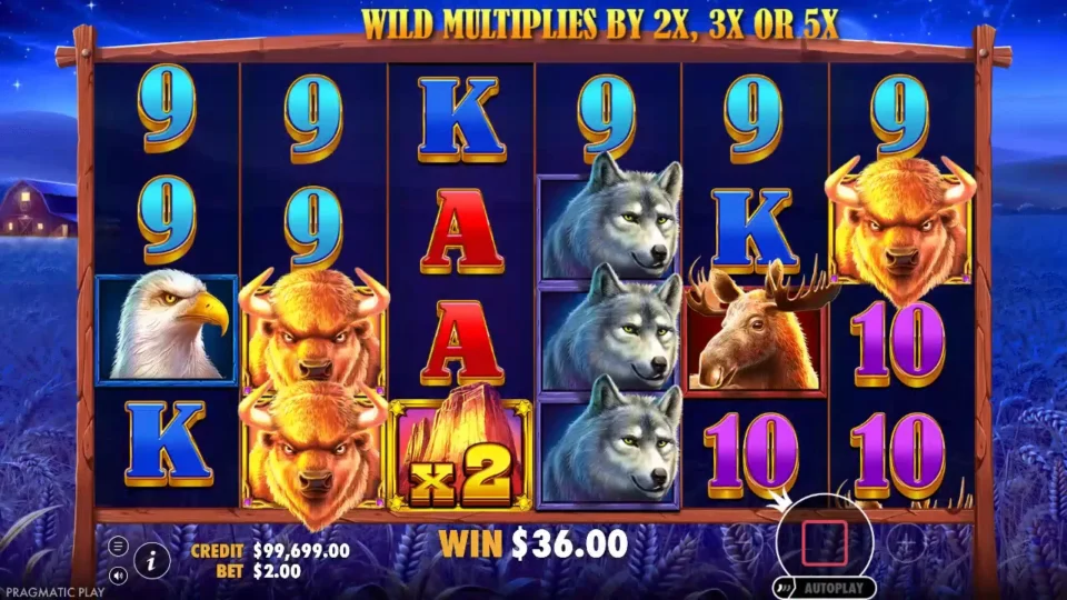 Buffalo King: A x2 Wild on the third reel links nines on the other five, and the free spins total reads USD 36.00
