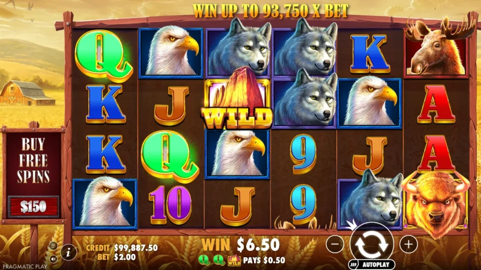 Buffalo King: A plain base-game Wild on reel 3 completes a queen way for USD 0.50 in a spin that pays USD 6.50