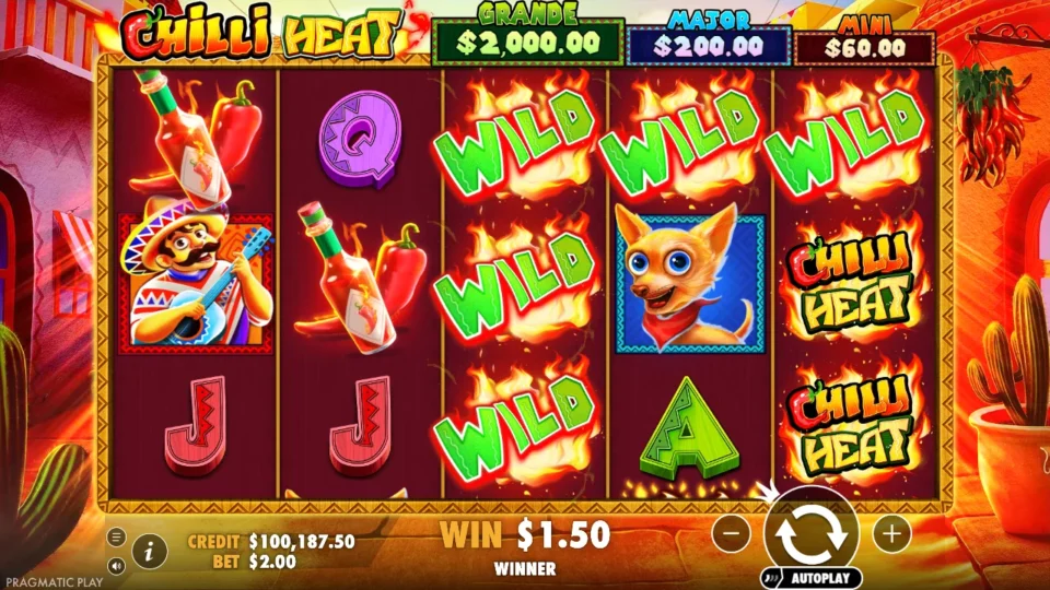 Chilli Heat: Wilds lit across reel 3 and the top row of reels 4 and 5 on a winning base spin