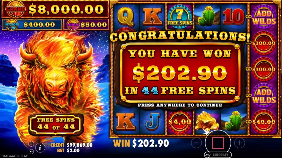 Fire Stampede: Bought bonus result on the Congratulations card, USD 202.90 in 44 free spins at a USD 2.00 bet